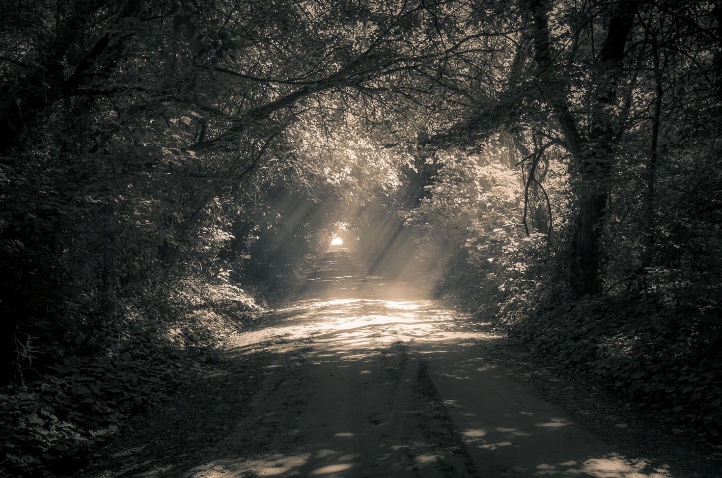 Spiritual Practices to Enhance Your Faith